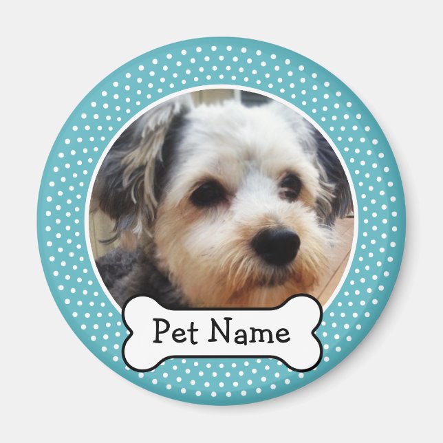 Hund Bone och Blue Polka Dot Pet Photo Ram Magnet (Framsidan)