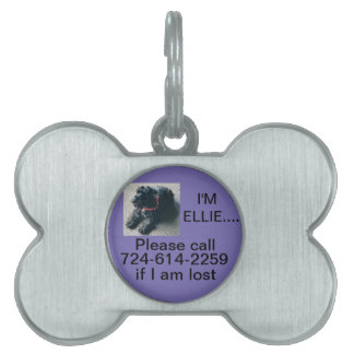 HUND BONE PET TAG ANPASSNINGSBAR BURNISHED SILVER ID-bricka HUSDJUR