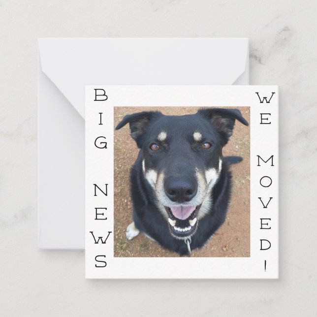 Hund borta LYCKLIG! vykort (Framsida)
