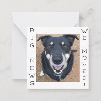 Hund borta LYCKLIG! vykort