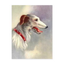 Hund Borzoi för vintage Art Design