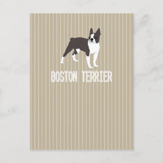 hund-Boston Terrier Vykort