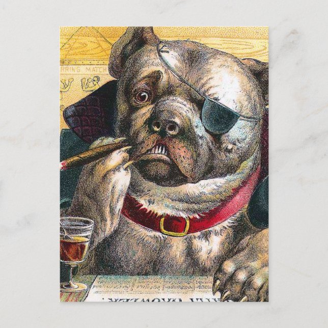 Hund Bouncer Vykort (Framsida)