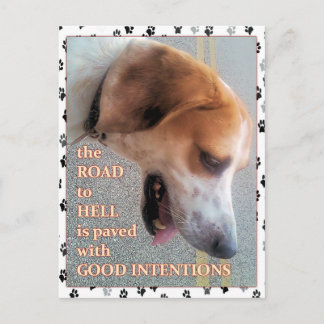 Hund bra Intentions Vykort