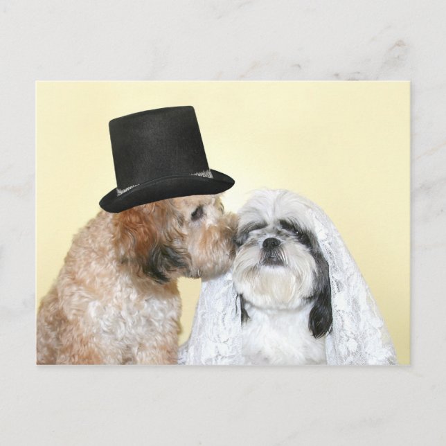 Hund Bride och Groom Vykort (Framsida)