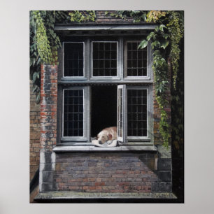 Hund Brygge Poster