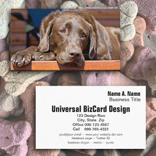 Hund Business Chocolate Labrador Retriever Visitkort