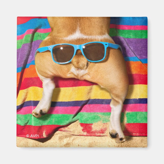 Hund Butt med solglasögon Magnet (Framsidan)