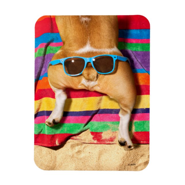 Hund Butt med solglasögon Magnet (Vertikal)