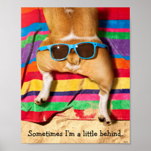 Hund Butt med solglasögon Poster