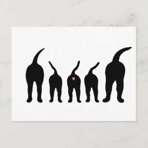 Hund Butts Silhouette Vykort