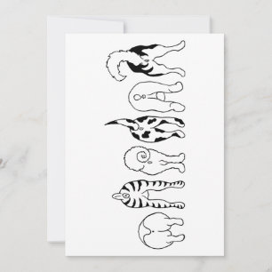 Hund Butts Tack Kort