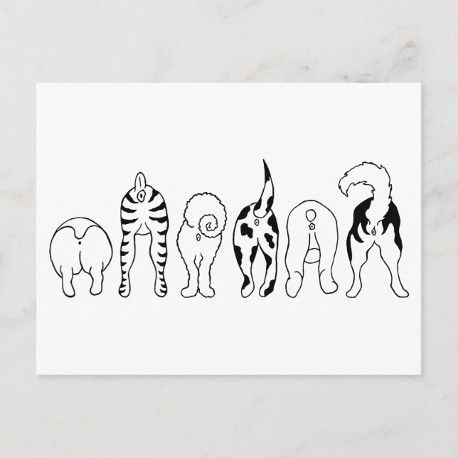 Hund Butts Vykort (Framsida)