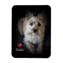 Hund Cairn Terrier "Hund älskare" Flexible Magnet