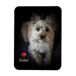 Hund Cairn Terrier "Hund älskare" Flexible Magnet