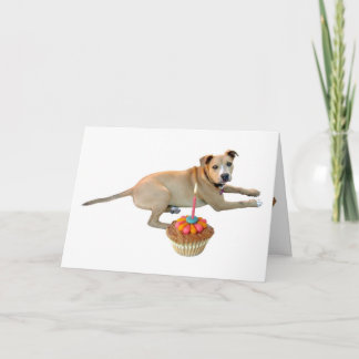 Hund Cake Birday Card Kort