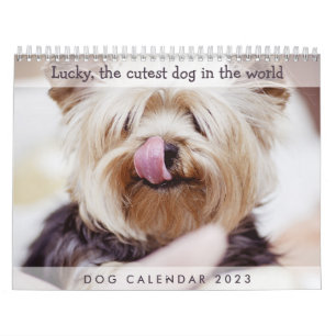 Hund Calendar 2023 Add your Cute Photos Kalender