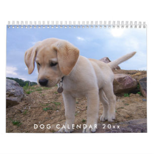Hund Calendar 2024 med dina foton Kalender