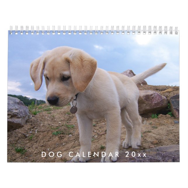 Hund Calendar 2024 med dina foton Kalender (Omslag)