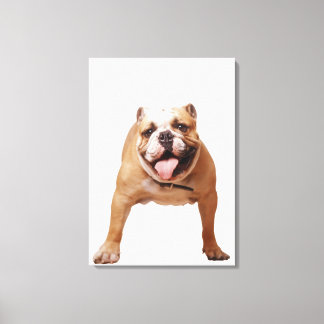 ,hund canvastryck
