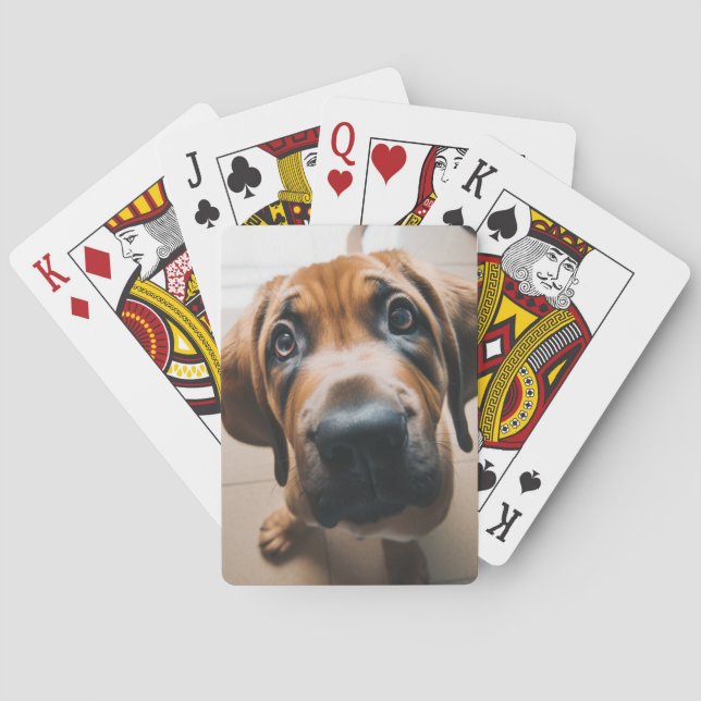 Hund Casinokort (Baksidan)