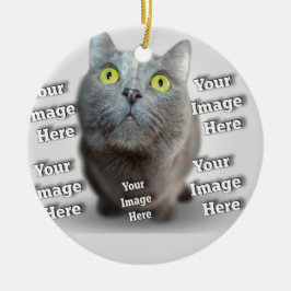 Hund Cat Bird Fab Fantastisk Photo Julgransprydnad Keramik