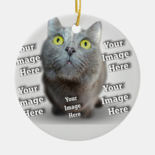 Hund Cat Bird Fab Fantastisk Photo Julgransprydnad Keramik