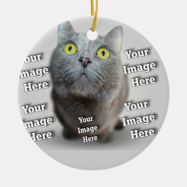 Hund Cat Bird Fab Fantastisk Photo Julgransprydnad Keramik (Framsidan)