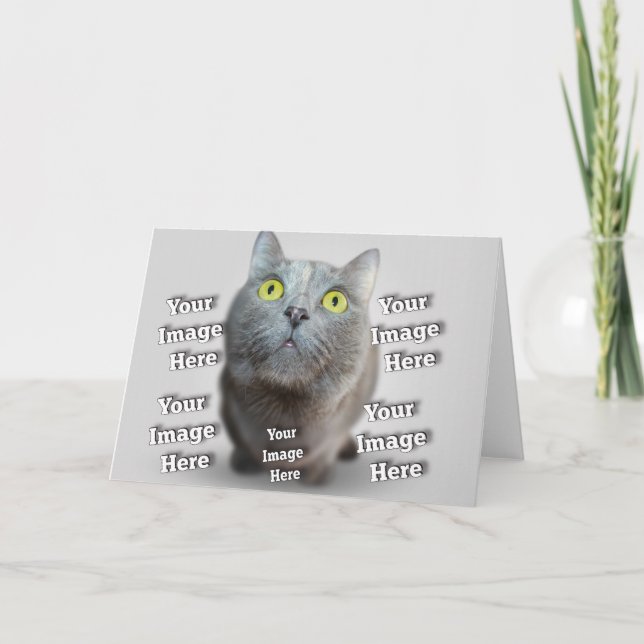 Hund Cat Bird Fab Fantastisk Photo Kort (Framsida)