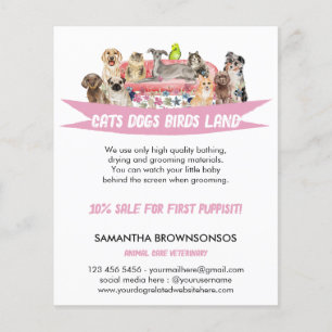Hund Cat Bird Hotel Soffa Pet Sitta Services Flygblad