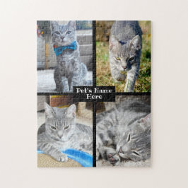 Hund Cat Pet Photo Pussel
