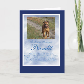 Hund Cat Pet Sympathy Anpassningsbar Photo Andlig Kort