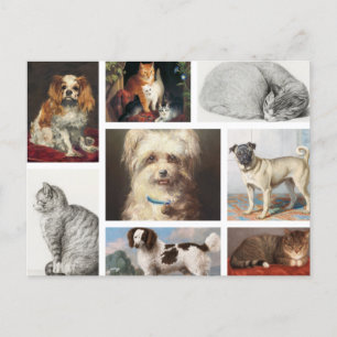 Hund Cat Pets 8 Photo Porträtt Collage Keepsak Helg Vykort
