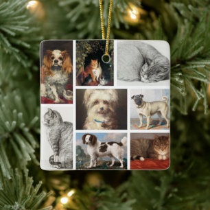 Hund Cat Pets 8 Photo Porträtt Collage Keepsak Julgransprydnad Keramik