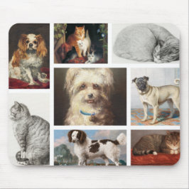 Hund Cat Pets 8 Photo Porträtt Collage Keepsak Musmatta