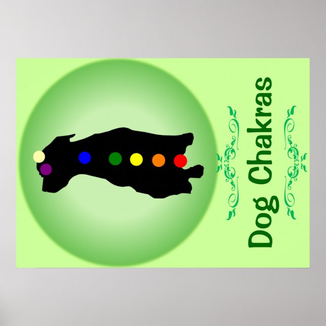 Hund Chakras poster (Framsidan)