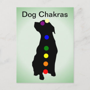 Hund Chakras vykort