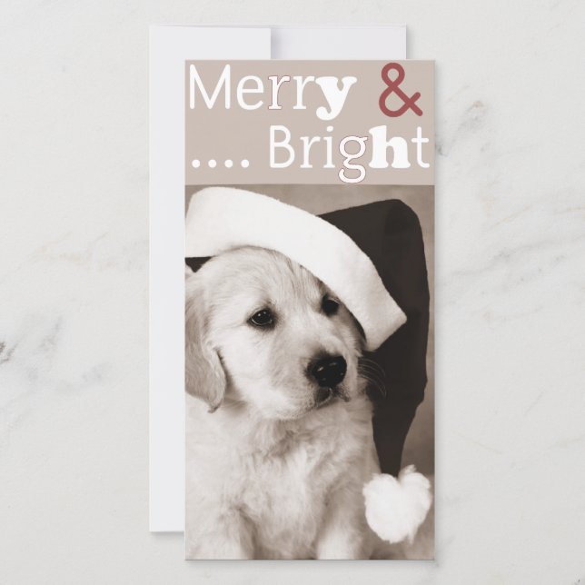 hund christmas-fotokort julkort (Framsida)