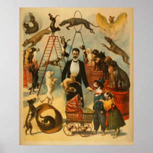 Hund Circus! - Teater Poster #2