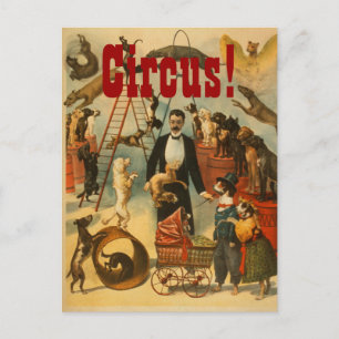Hund Circus - vykort nr 2