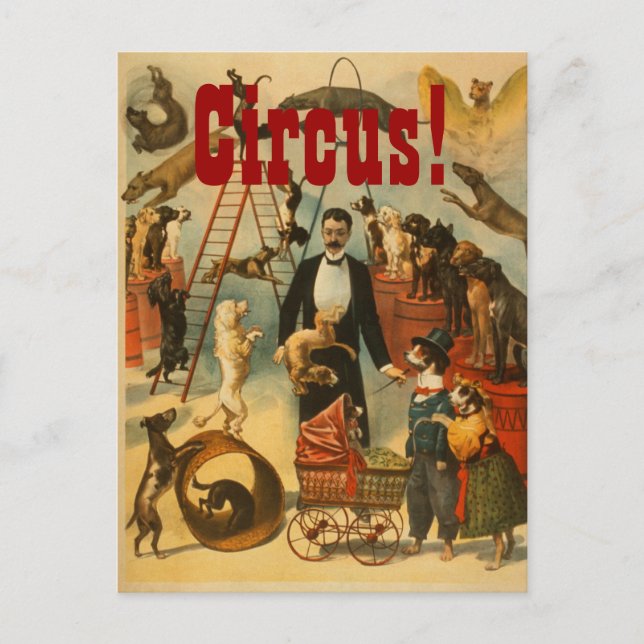 Hund Circus - vykort nr 2 (Framsida)
