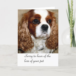 Hund Condolence Card Kort