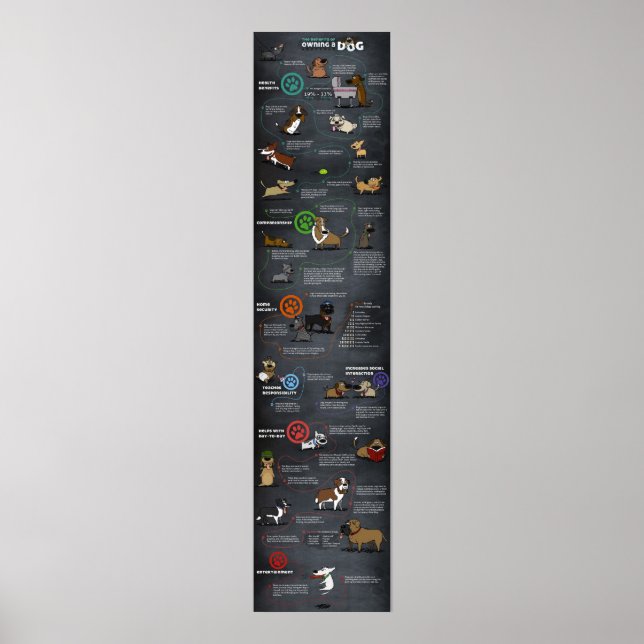 Hund coola Poster (Framsidan)