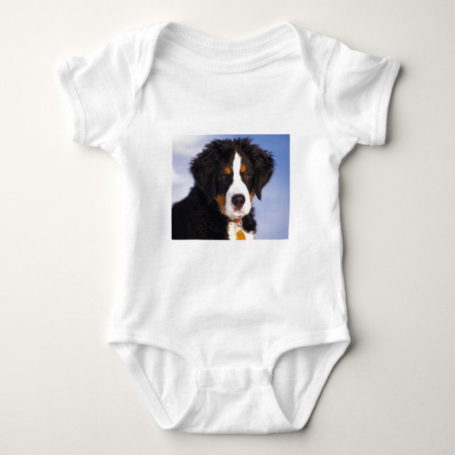 Hund Cute Bernese T-shirt (Framsida)