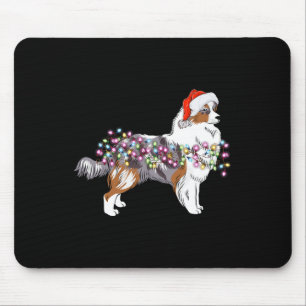 Hund Cute Ljus Australian shepherd Musmatta
