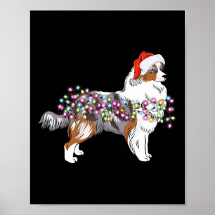 Hund Cute Ljus Australian shepherd Poster