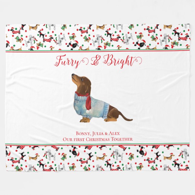 Hund Dachshund genom Snö-julets Hårig Bright Fleecefilt (Framsidan (Horisontell))