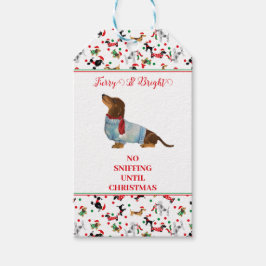 Hund Dachshund genom Snö-julets Hårig Bright Presentetikett