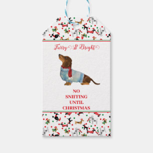 Hund Dachshund genom Snö-julets Hårig Bright Presentetikett