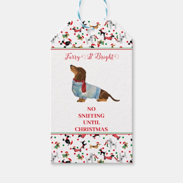 Hund Dachshund genom Snö-julets Hårig Bright Presentetikett (Framsidan)